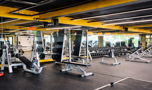 Gym in Wakad: Your Complete Guide to Fitness and Healthy Living