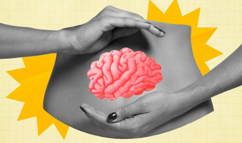 The Second Brain: How Calming Your Nervous System Heals Your Gut and Clears Your Mind